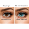 Colour contact lenses showing daily, weekly, monthly and yearly wear options for different lifestyles